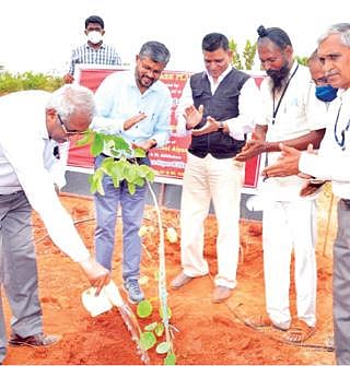 கிள்ளிகுளம் வேளாண்மைக் கல்லூரியில் முன்னாள் மாணவர்கள் சார்பில் நடைபெற்ற மரக்கன்றுகள் நடும் திட்டத்தை தமிழ்நாடு வேளாண்மை பல்கலைக்கழக துணைவேந்தர் என்.குமார் தொடங்கி வைத்தார்.