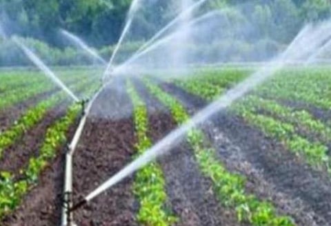 தமிழகத்திலேயே முதல் முறை: எஸ்சி, எஸ்டி விவசாயிகளுக்கு 100% மானியத்தில்‌ கிணறு, மோட்டாருடன்‌ நுண்ணீர்ப்‌ பாசன வசதி