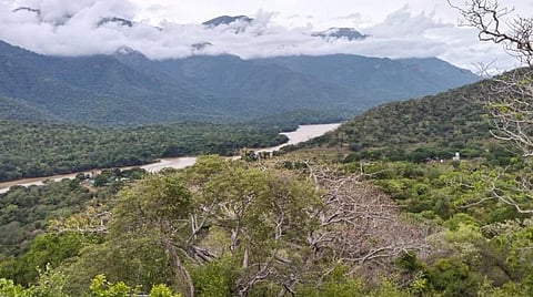 கோவை காரமடை வனச்சரகத்துக்கு உட்பட்ட பூச்சமரத்தூர் சூழல் சுற்றுலா பகுதியின் தோற்றம்.