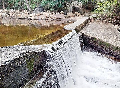 களக்காடு மலைப்பகுதியில் உள்ள தலையணை பச்சையாற்றில் தடுப்பணையைத் தாண்டி விழும் தண்ணீர்.