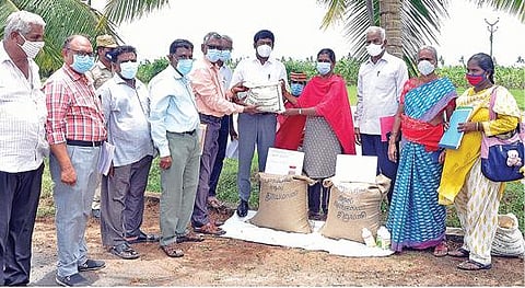 இருவேல்பட்டு அரசு விதைப்பண்ணையில் பாரம்பரிய நெல் விதைகள் உற்பத்தி செய்யும் பணிகளை தொடங்கி வைத்து, பண்ணை மேலாளருக்கு இயற்கை முறையிலான பாரம்பரிய விதைகளை ஆட்சியர் மோகன் வழங்கினார்.