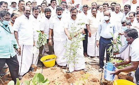 முசிறி வட்டம் மேலவடுகப்பட்டியில் குறுங்காடு அமைக்கும் பணியை மரக்கன்றுகளை நட்டு தொடங்கி வைக்கிறார் அமைச்சர் கே.என்.நேரு. உடன் மாவட்ட ஆட்சியர் சு.சிவராசு மற்றும் அதிகாரிகள், எம்எல்ஏக்கள்.