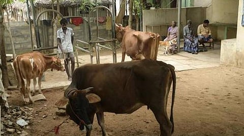 பிரதிநிதித்துவப் படம்