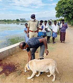 கோபாலசமுத்திரத்தில் விவசாயி கொலை செய்யப்பட்ட இடத்தில் மோப்ப நாய் உதவியுடன் போலீஸார் விசாரணை மேற்கொண்டனர்.