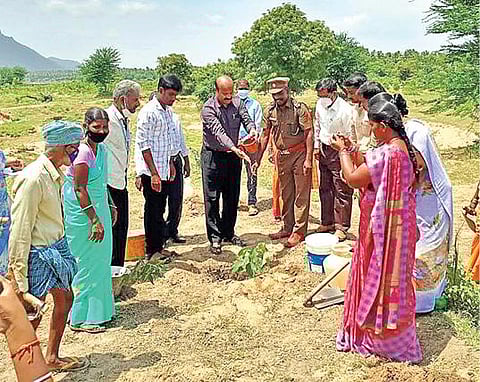 குடியாத்தம் அடுத்த உள்ளி பகுதியில் 5 ஏக்கரில் 3,000 மரக்கன்றுகள் நடும் திட்டத்தை தொடங்கி வைத்த கூட்டுறவு சங்கங்களின் பதிவாளர் சண்முகசுந்தரம்.
