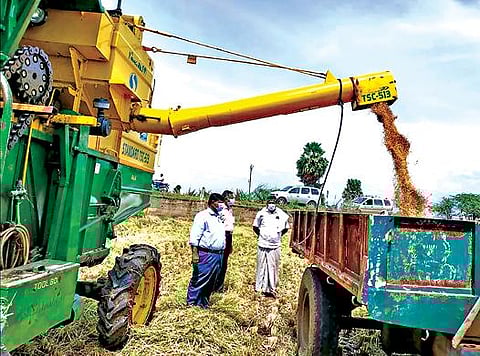 தடப்பள்ளி - அரக்கன்கோட்டை பாசனப்பகுதியில் இயந்திரங்கள் மூலம் நெல் அறுவடை செய்யப்படுவதை வேளாண் இணை இயக்குநர் எஸ்.சின்னசாமி பார்வையிட்டார்.
