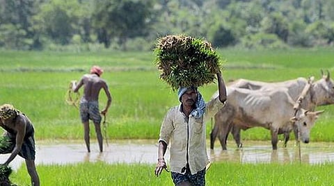 அரசு திட்டங்களை பெற விவசாயிகளுக்கு புதிய அட்டை