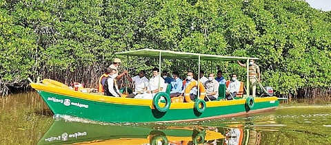 சிதம்பரம் அருகே உள்ள பிச்சாவரம் சுற்றுலா மையத்தில் படகு சவாரி செய்த படியே சுரபுன்னை காடுகளை சுற்றுலாத்துறை அமைச்சர் மதிவேந்தன் பார்வையிட்டு ஆய்வு செய்தார்.