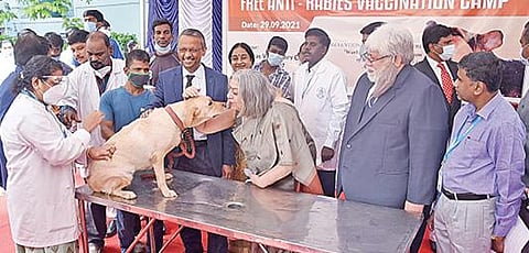 சென்னை வேப்பேரி கால்நடை மருத்துவக் கல்லூரி மருத்துவமனையில் நடைபெற்ற செல்லப்பிராணிகளுக்கான இலவச வெறிநோய் தடுப்பூசி முகாமை டாக்டர் ராணி கவுர் பானர்ஜி தொடங்கி வைத்தார். சென்னை உயர் நீதிமன்ற தலைமை நீதிபதி சஞ்ஜிப் பானர்ஜி, தமிழ்நாடு கால்நடை மருத்துவப் பல்கலைக்கழகத்தின் துணைவேந்தர் கே.என்.செல்வகுமார் உள்ளிட்டோர் உடன் உள்ளனர். படம்: ம.பிரபு