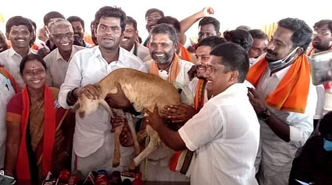 ஆஸ்கர் விருதுபோல மகிழ்ச்சி: ஆட்டுக்குட்டியைப் பரிசாகப் பெற்ற அண்ணாமலை பெருமிதம்