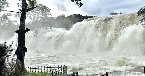 கன்னியாகுமரி மாவட்டத்தில் பேச்சிப்பாறை, சிற்றாறு அணைகளில் இருந்து வெளியேறும் தண்ணீருடன் மழைநீரும் கலந்து திற்பரப்பு அருவியில் வெள்ளப்பெருக்கு ஏற்பட்டுள்ளது.