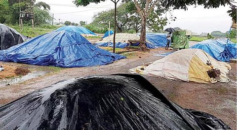 சேத்தியாத்தோப்பு அருகே பரதூரில் விற்பனைக்காக நேரடி நெல் கொள்முதல் நிலையம் அருகில் கொட்டி வைக்கப்பட்ட நெல்குவியல் மழையால் நனைந்துள்ளது.