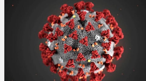 கரோனாவிலிருந்து முழுமையாக நாம் வெளியே வரவில்லை: உலக சுகாதார அமைப்பு