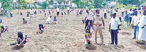 குறிஞ்சிப்பாடி காவல் நிலைய பகுதியில் இன்ஸ்பெக்டர் செல்வம் தலைமையில் பள்ளி மாணவ, மாணவிகள்  மரக்கன்று நட்டனர்.