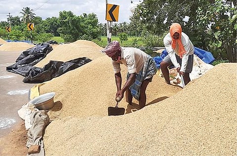 தஞ்சாவூர் அருகே ஒரத்தநாடு சாலையில் கொள்முதல் நிலையத்துக்கு விற்பனை செய்ய கொண்டு வந்த நெல்லில் ஈரப்பதம் அதிகமாக இருப்பதால் பகல் நேரங்களில் நெல்லை உலர்த்தும் பணியில் ஈடுபட்டுள்ள விவசாயிகள்.படம்: வி.சுந்தர்ராஜ்