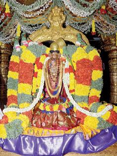 சிறப்பு அலங்காரத்தில் ஆண்டாள்.