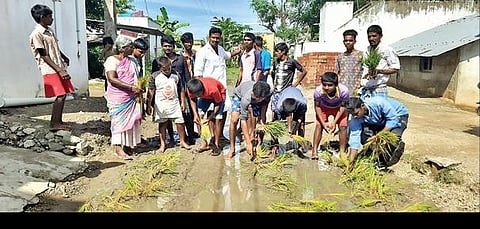 சொரகொளத்தூர் கிராமத்தில் சாலையில் மழைநீரை அகற்ற வலியுறுத்தி நேற்று நாற்று நடும் போராட்டத்தில் ஈடுபட்ட கிராம மக்கள்.