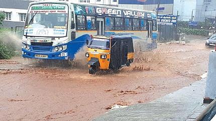 நீலகிரி மாவட்டத்தில் கன மழை -  பர்லியாறில் மரம் விழுந்ததால் போக்குவரத்து பாதிப்பு :