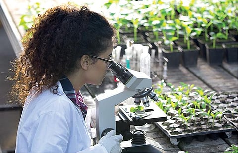 என்றும் பலன் தரும் வேளாண் படிப்புகள்