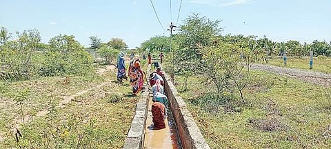 சிவகங்கை அருகே சோழபுரத்தில் பெரியாறு பாசன கால்வாயை சுத்தம் செய்த கிராம மக்கள்.