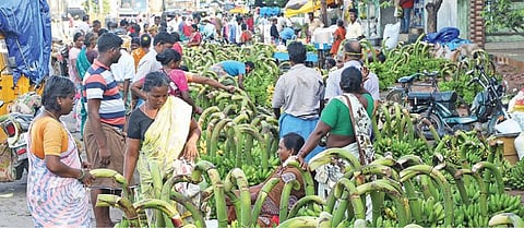 கடலூர் உழவர் சந்தையில் விற்பனைக்காக குவிந்து வைக்கப்பட்டுள்ள வாழைத்தார்கள்.