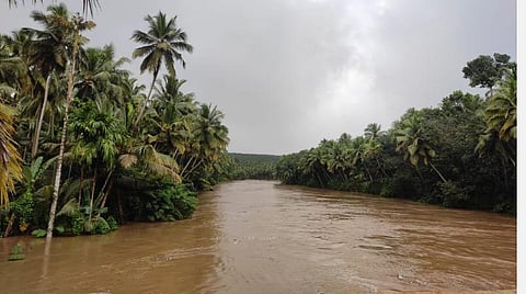 குமரியில் விடியவிடிய கொட்டிய மழை; அணைகளில் இருந்து தண்ணீர் திறப்பு- கரையோர கிராமங்களில் நீர் புகும் அபாயம்