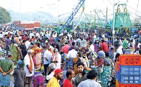 கடலூர் துறைமுகம் பகுதியில் மீன்வாங்க குவிந்த பொதுமக்கள்.