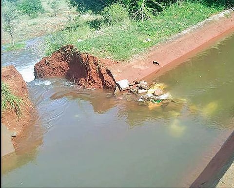 பிஏபி கால்வாயை உடைத்து குட்டைக்கு தண்ணீர் திருட்டு :