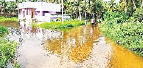ஆம்பூர் அடுத்த வீராங்குப்பம் ஊராட்சிக்கு உட்பட்ட ஓம் சக்தி நகர் மழைநீரால் சூழப்பட்டுள்ளது.