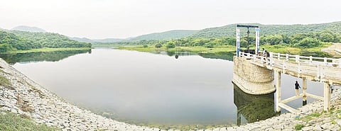 வேலூர் மாவட்டத்தில் தொடர்ந்து பெய்த கனமழையிலும் நிரம்பாமல் உள்ள ராஜாதோப்பு நீர்த்தேக்க அணை. படம்:வி.எம்.மணிநாதன்.