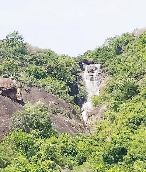 பணகுடியில் மேற்கு தொடர்ச்சி மலையில் உள்ள குத்தரபாஞ்சான் அருவி.
