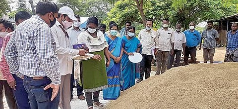தஞ்சாவூர் அருகே அரசூர் நேரடி நெல் கொள்முதல் நிலையத்தில் ஈரப்பதம் தொடர்பாக நேற்று ஆய்வு மேற்கொண்ட மத்திய குழுவினர்.