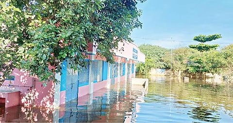 திருவண்ணாமலை மாவட்ட ஆட்சியர் அலுவலகம் அருகே உள்ள குடியிருப்பு பகுதிகளில் மழைநீர் சூழ்ந்ததால் வெள்ளக்காடானது. அடுத்த படம்: சேரியந்தல் ஊராட்சி ஒன்றிய தொடக்க பள்ளியை சூழ்ந்த வெள்ளநீர்.
