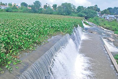 ஈரோட்டில் தொடர் மழையால் சூரம்பட்டி தடுப்பணை நிரம்பி உபரிநீர் வெளியேறி வருகிறது.