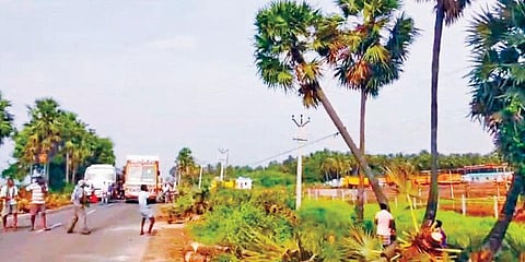 விழுப்புரம் அருகே வளவனூர்- மதகடிப்பட்டு இடையே சாலைவிரிவாக்கப் பணிகளுக்காக வெட்டி வீழ்த்தப்படும் பனைமரங்கள்.