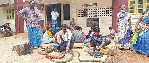 சிவகங்கை கோட்டாட்சியர் அலுவலகத்துக்கு மனு அளிக்க பாம்புகளுடன் வந்த காட்டு நாயக்கர்கள்.