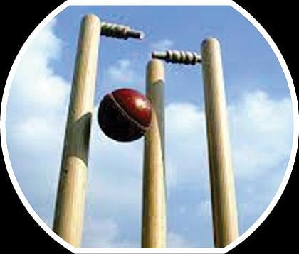 பளிச் பத்து 118: கிரிக்கெட்