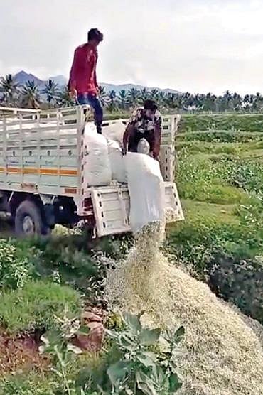 சத்தியமங்கலம் அருகே விலை வீழ்ச்சியால் சம்பங்கிப் பூக்களை சாலையோரம் கொட்டும் விவசாயிகள்.