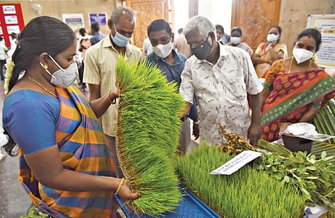 சேலம் ஆட்சியர் அலுவலகத்தில் விவசாயிகள் குறைதீர்க்கும் நாள் கூட்டம் நேற்று நடந்தது. இதையொட்டி அலுவலக வளாகத்தில் வேளாண் மற்றும் ஊழவர் நலத்துறை சார்பில் அமைக்கப்பட்டிருந்த வேளாண் கண்காட்சியை விவசாயிகள் ஆர்வமுடன் பார்வையிட்டனர். 	  படம்: எஸ்.குரு பிரசாத்