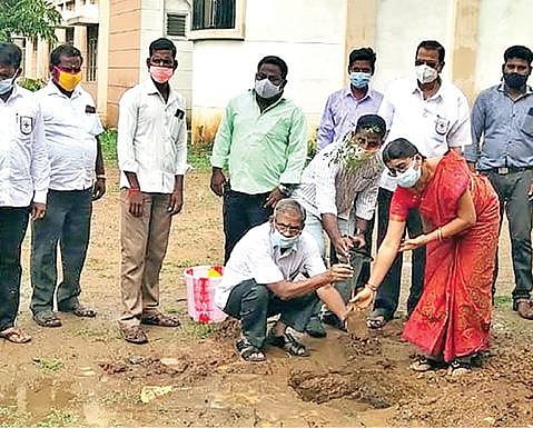 செய்யாறு அரசு தொழில்நுட்ப கல்லூரியில் மரக்கன்று மற்றும் பனை விதைகள் நடும் விழா நடைபெற்றது.