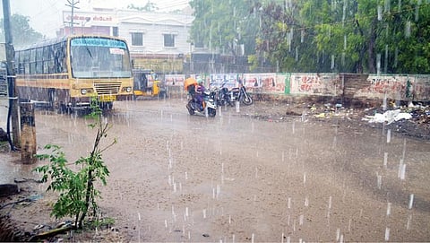பாளையங்கோட்டையில் நேற்று பிற்பகலில் பலத்த மழை பெய்தது. படம்: மு. லெட்சுமி அருண்