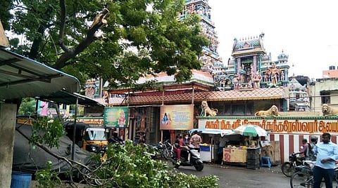 முன்னெச்சரிக்கை நடவடிக்கையாக விழும் நிலையில் இருந்த மரக் கிளைகள் அகற்றம்: சென்னை மாநகராட்சி நடவடிக்கை