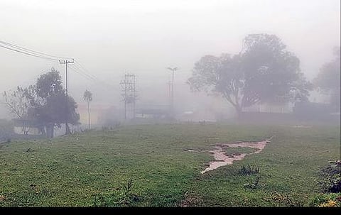 நீலகிரி மாவட்டத்தில் பரவலாக மழை :