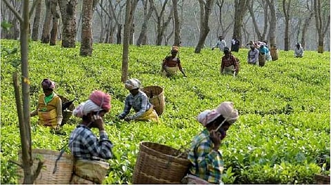 பிரதிநிதித்துவப் படம்.