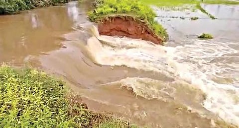 தடப்பள்ளி வாய்க்காலில் உடைப்பு ஏற்பட்ட பகுதியில் இருந்து நீர் வெளியேறுகிறது.