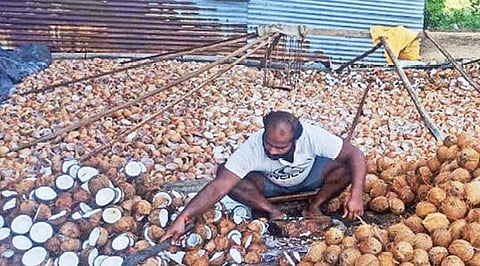 போச்சம்பள்ளி பகுதியில் தேங்காய் உடைத்து கொப்பரைக்காக உலர்த்தும் பணியில் விவசாயி ஈடுபட்டுள்ளார்.