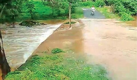 திருப்பூர் மாவட்டத்தில்  -  தொடர் மழையால் நிரம்பிய குளம், குட்டைகள்  :