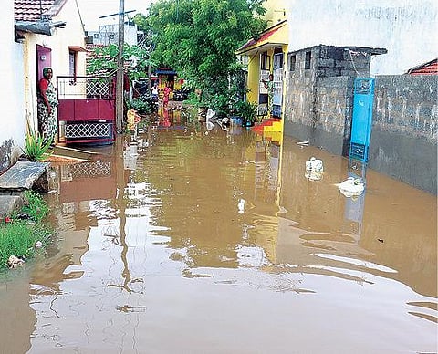 திருப்பூர் மாநகரில் குடியிருப்புக்குள் புகுந்த மழைநீர் :  பாதிக்கப்பட்டவர்கள் பள்ளியில் தங்க வைப்பு