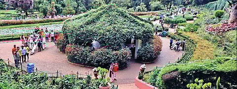 தீபாவளி பண்டிகை தொடர் விடுமுறையால்  -  உதகையில் திரண்ட சுற்றுலா பயணிகள் :