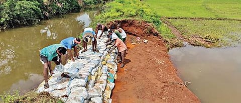 கோபியை அடுத்த தொட்டிபாளையம் பகுதியில் ஏற்பட்ட வாய்க்கால் உடைப்பு சரி செய்யப்பட்டதையடுத்து, நீர் வெளியேற்றம் தடுக்கப்பட்டுள்ளது.